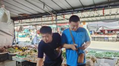 照要求核查进货凭证