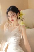功措置飞机正在起飞环节阶段鸟击特情